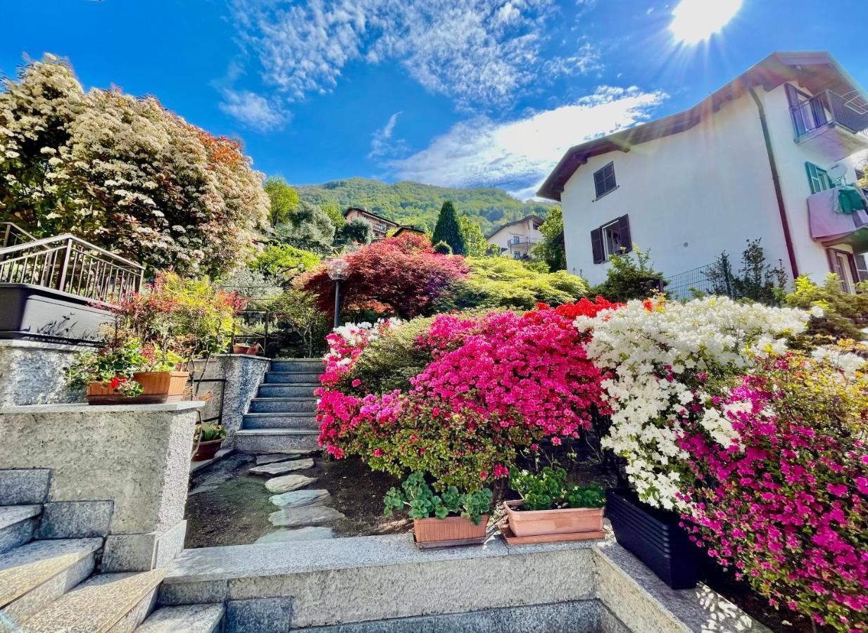 Eden Sul Lago Di Como Nesso Luaran gambar