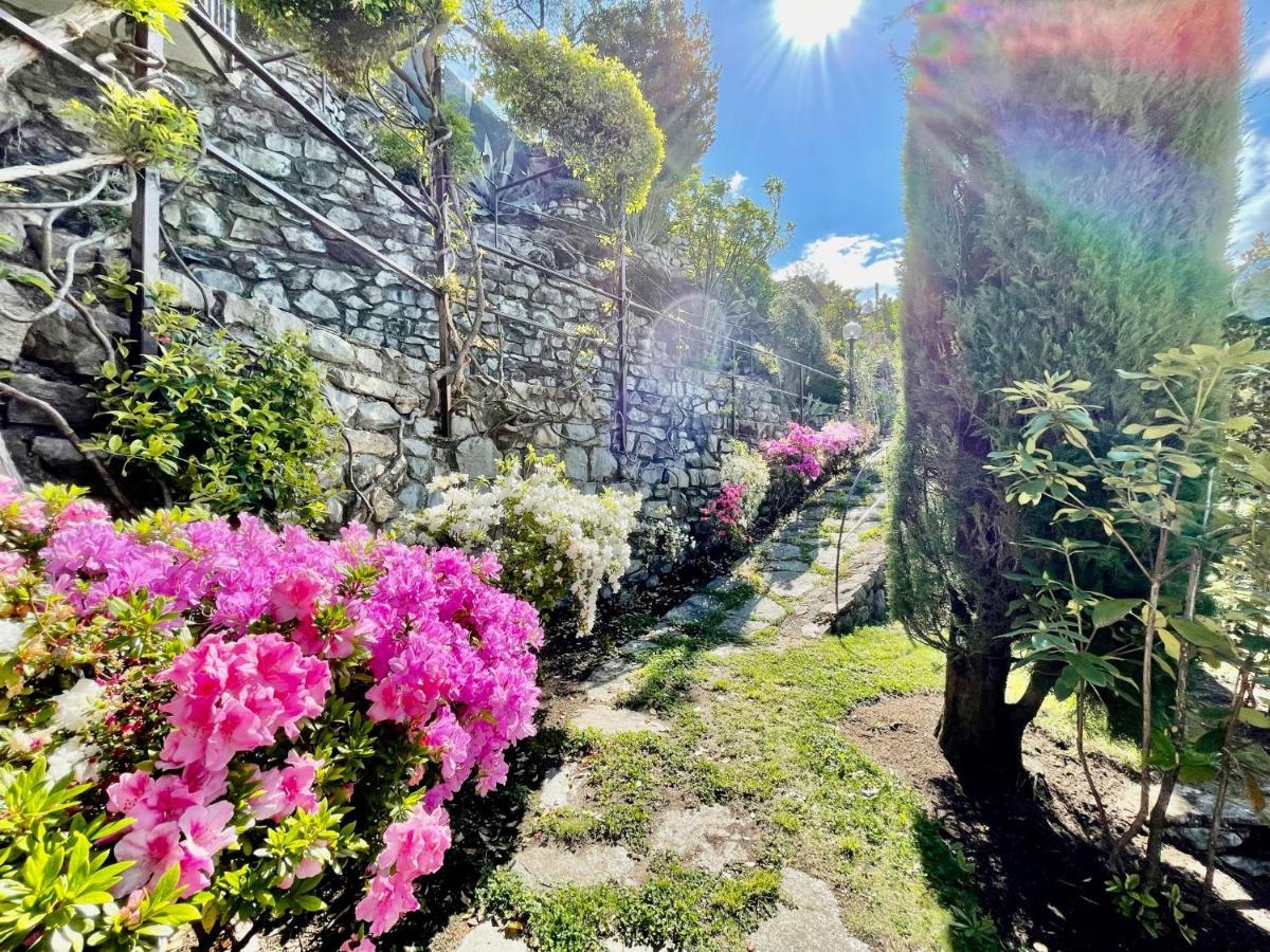 Eden Sul Lago Di Como Nesso Luaran gambar