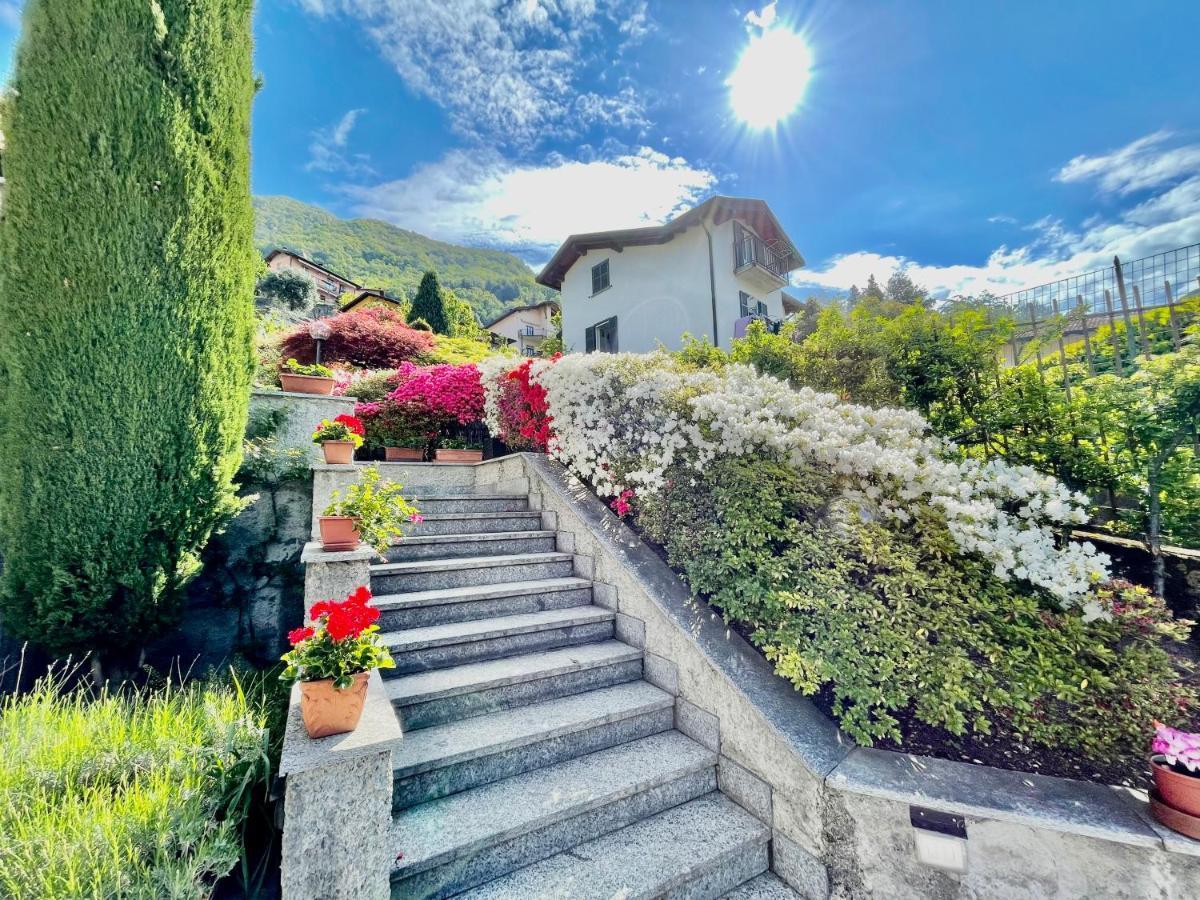 Eden Sul Lago Di Como Nesso Luaran gambar
