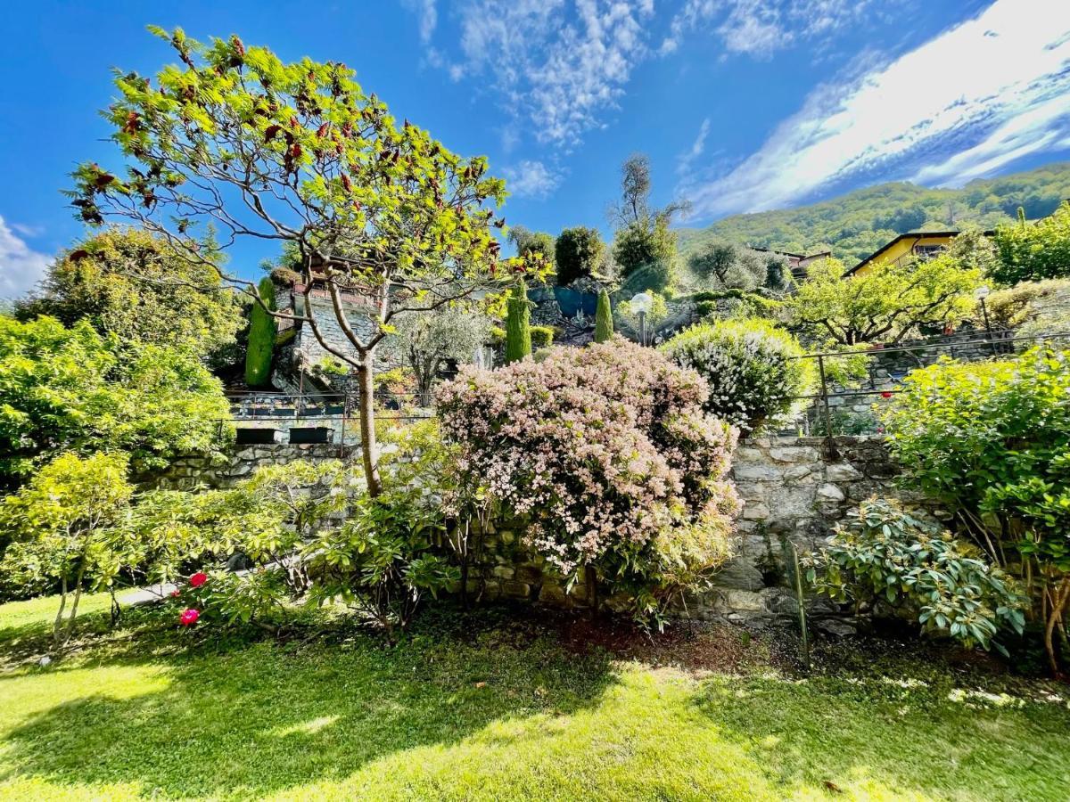 Eden Sul Lago Di Como Nesso Luaran gambar